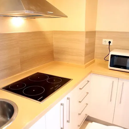 Apartment Sleepin Arenal Seville